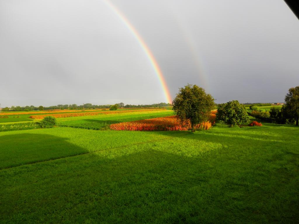 Agriturismo Cjargnei Povoletto Esterno foto